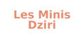 lesminisdziri – Accueil